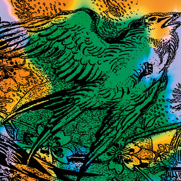 VA / ONE SWALLOW DOESN’T MAKE A SUMMER PART 2