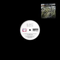 DJ JNETT / WILD LIFE