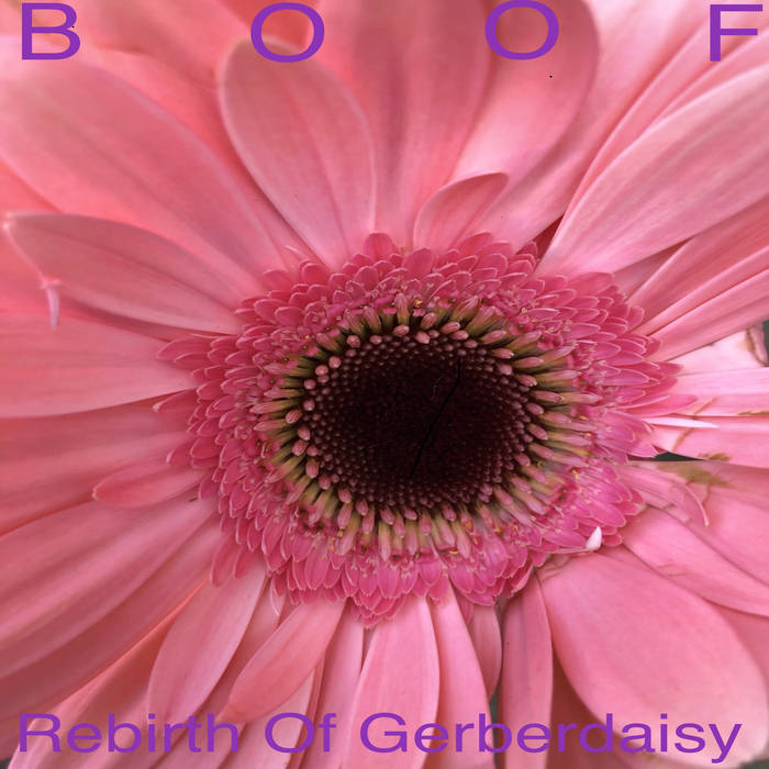 Boof – Rebirth Of Gerberdaisy