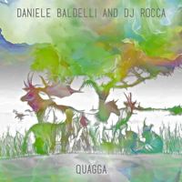DANIELE BALDELLI & DJ ROCCA / QUAGGA (LP)