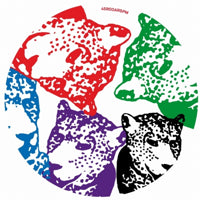 TIGER & WOODS / GIN NATION