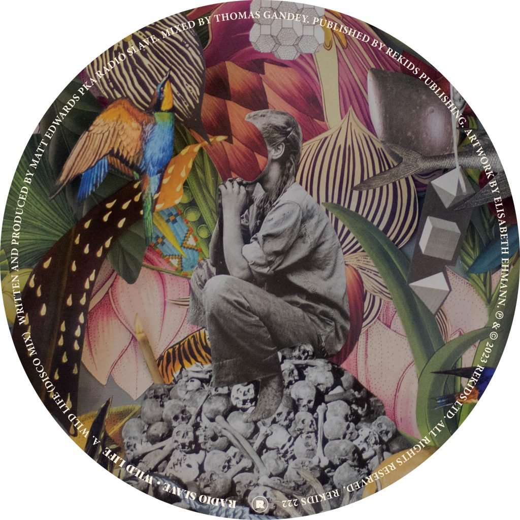 Radio Slave – Wild Life