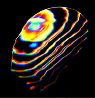 BEAR BONES / LAY LOW / HACIA LA LUZ