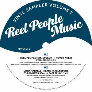 VA / VINYL SAMPLER VOLUME 2