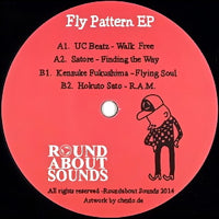 VA/FLY PATTERN EP