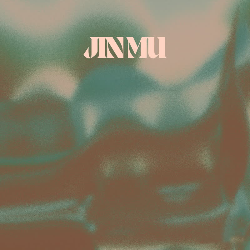 ZEITGEIST & TUCCERI / JIN MU (LP)