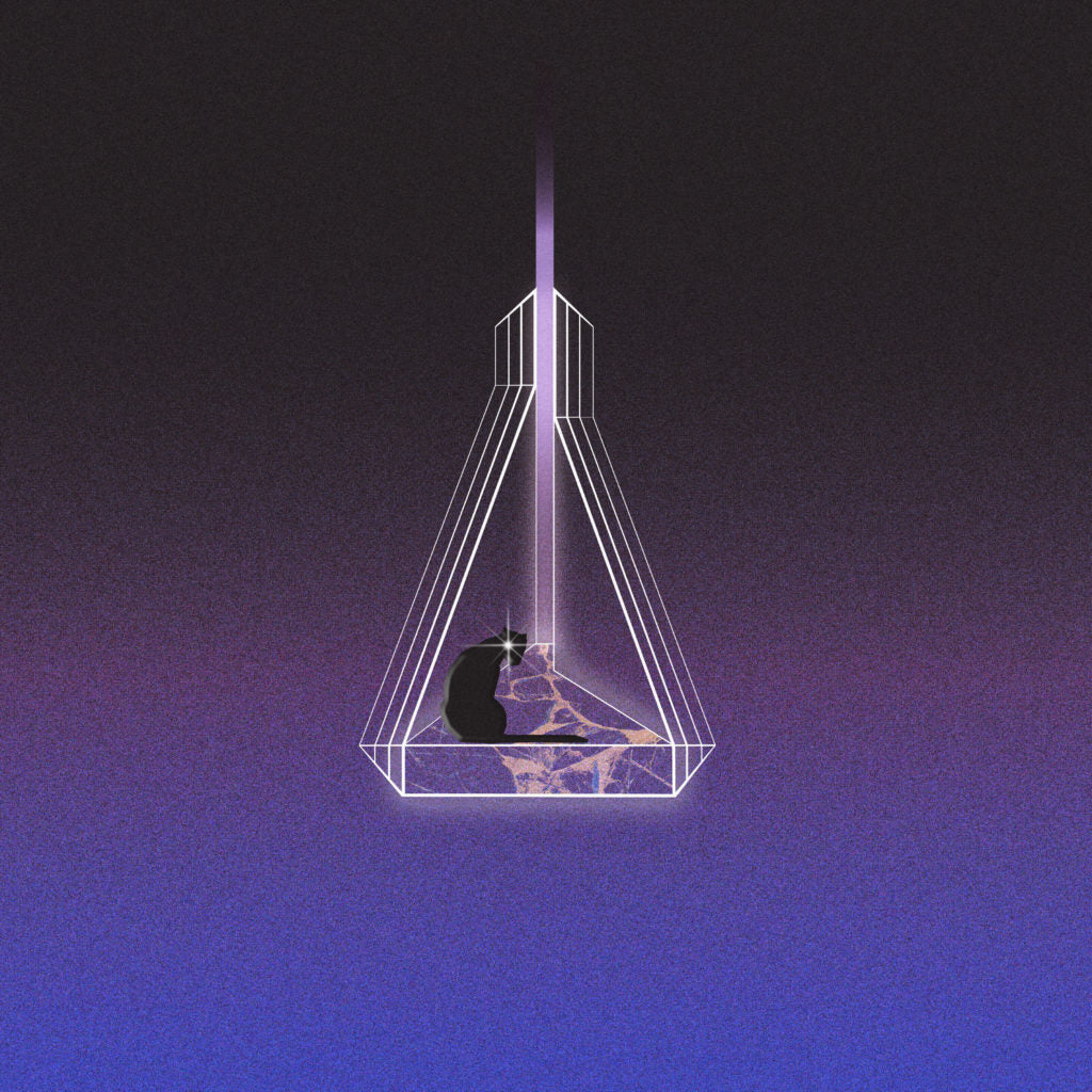 SEVEN DAVIS JR. / I SEE THE FUTURE (2LP)