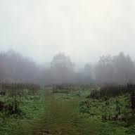 WILL SAUL & TAM COOPER / HI-LO(W-PACK)