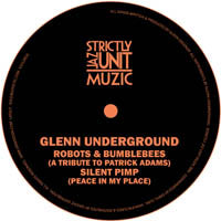 GLENN UNDERGROUND / ROBOTS BUMBLEBEES