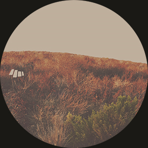 ZOGRI / UNDERGROUND THEME