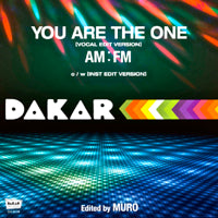 AM:FM / YOU ARE THE ONE (7 inch)