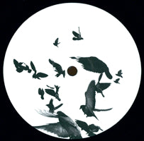 DARAND LAND / JOSE LAU / SOUND PRINCIPLE 1