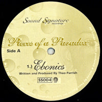Theo Parrish – Pieces Of A Paradox