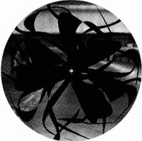 THEO PARRISH / DANCE OF THE MEDUSA EP