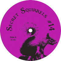 SECRET SQUIRRELS / #14