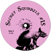 SECRET SQUIRRELS / #15