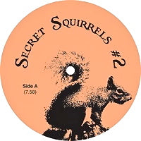 SECRET SQUIRRELS / #2