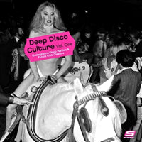 VA / DEEP DISCO CULTURE VOL. ONE (UNDERGROUND DISCO RARITIES & FUTURE