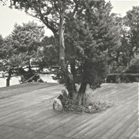 BORROWED IDENTITY & MECHANICAL SOUL BROS / CAPS AND CHORDS EP