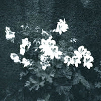 CROMBY / PLANETS AND PARKS EP