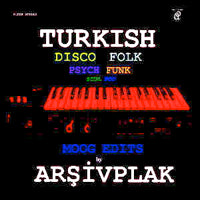 ARŞIVPLAK / MOOG EDITS (LP)