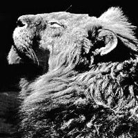 ANTHONY NAPLES / EL PORTAL EP