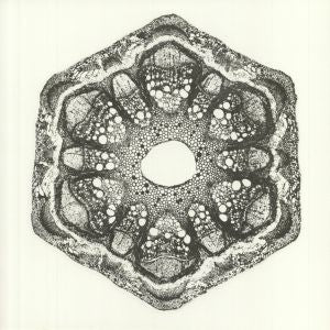 ODD LUST / WILD QUALIA