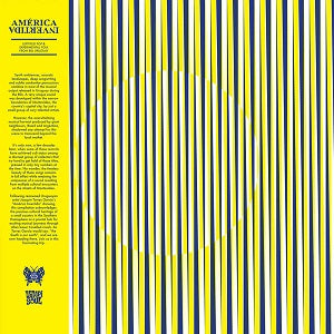 VA / AMERICA INVERTIDA (LP)