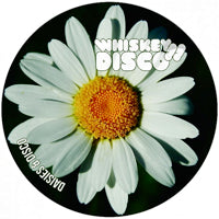 VA / DAISIES & DISCO