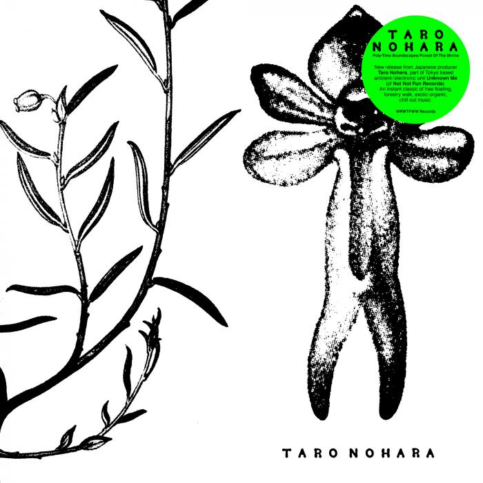 TARO NOHARA / POLY-TIME SOUNDSCAPES / FOREST OF THE SHRINE (LP)