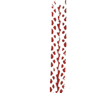 ANDY VAZ / BICYCLE LOVE