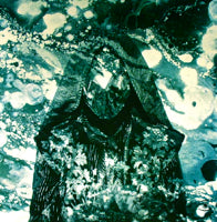 55 CANCRI E / BELSEBUBS TARAR