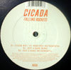CICADA / FALLING ROCKETS
