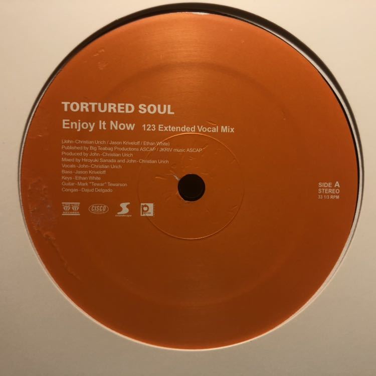 TORTURED SOUL / ENJOY IT NOW (USED)