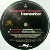 KASKADE & DEADMAU5 / I REMEMBER