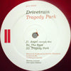 DRIVE TRAIN / TRAGEDY PARK