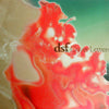 DSF / COVER LETTER