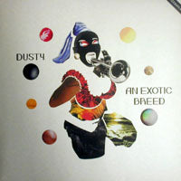 DUSTY / AN EXOTIC BREED