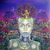 ERYKAH BADU / NEW AMERYKAH PART TWO:RETURN OF THE ANKH(W-PACK)