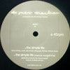 JUAN MACLEAN / THE SIMPLE LIFE-MARCUS WORGULL REMIX
