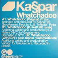 KASPAR / WHATCHADOO-DJ NATURE REMIX