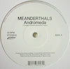MEANDERTHALS / ANDROMEDA-IDJUT BOYS REMIX