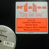 N'DSHEA / CITY GOT SOUL