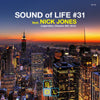 VA(NICK JONES) / SOUND OF LIFE #31-LEGENDARY CLASSICS MIX VOL.2(MIX-CD)