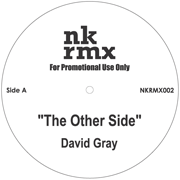DAVID GRAY / TRACY CHAPMAN / THE OTHER SIDE / CROSSROADS-NK RMX