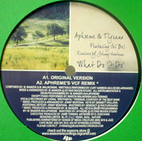 APHREME & TIGRANO / WHAT DO I DO (feat. CEI BEI)