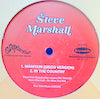 STEVE MARSHALL / MAINTAIN