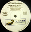 SOFT HOUSE COMPANY / A LITTLE PIANO / WHAT YOU NEED