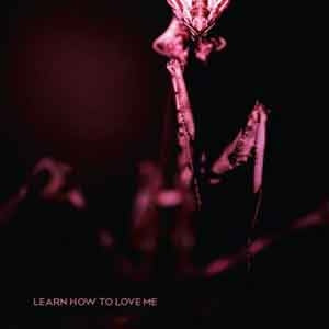 STAREAWAY / LEARN HOW TO LOVE ME