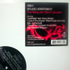 STUDIO APARTMENT / THE RISING SUN ALBUM SAMPLER